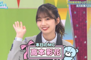 【日向坂46】おたけMCが普通に上手だった件ｗｗｗｗｗｗｗｗ