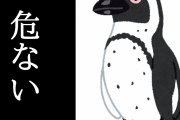 ケープペンギンが危ないらしい