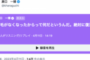 【立憲・原口一博氏】「実はある病気で闘病中で、髪の毛がいっぺんになくなりました」国会でウィッグ着用