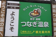 来月初めて岩手県へ旅行に行きます。観光やグルメのおすすめを教えてください。