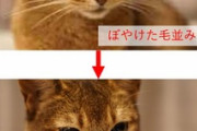 【朗報】ニコニコ動画、革新的な神アプデをしてしまう