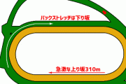 東京2500mと中山2500ｍってどう違うの？