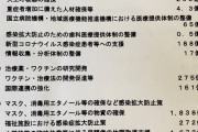 審議拒否中の蓮舫「マスク配布に466億円！財源は税金と借金！補正予算の目処立ってないから見直せ！」
