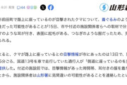 【山形】路上でのクマ目撃情報→耳付きの服着た女性の可能性が浮上