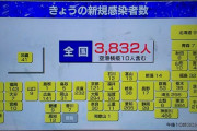 外国人「日本のコロナ感染者が連日更新、それでも検査が少なすぎる」