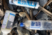 沖縄の海岸に流れ着いたおびただしい量の「軽石」はどこへ？　一夜にして消える