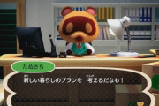 どうぶつの森の為だけにニンテンドースウィッチを買うのってどう思う？