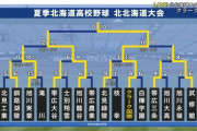 【悲報】今甲子園に出てる白樺学園、北北海道大会1回戦敗退だった