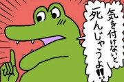 今年の流行語大賞ノミネート発表wwwwwwww例のワニは？