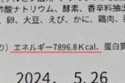 【朗報】西武おかわりくんの弁当、とんでもないカロリーだった