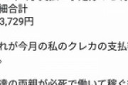 熊沢英一郎「今月のクレカの支払い32万だったわｗ庶民共はせいぜい必死こいて働いてくれ」