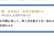 【櫻坂46】東京ドーム公演直後に見れる！？隅田川花火大会に参加する花火師・Buddies見つかる