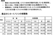 環境省「もう半分駆逐するしかない…」川口にも同じ繁殖力の奴がいます！！