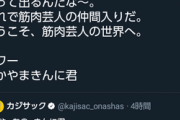 【悲報】なかやまきんに君さん、話が通じない