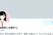 【選挙用】野党が作り出した１７歳女子高生・莉音ちゃんがtwitterに爆誕しすぐにバレるｗｗｗｗｗｗｗｗｗｗｗｗｗｗ