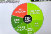 【単発】『手取り23万円』の生活がコレ……………→やっぱ日本終わりすぎやろ……………