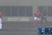 【画像】阪神２軍、とんでもない環境で試合してしまう