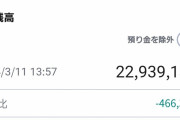 【悲報】投資ぼく、１日でマイナス50万弱を稼いでしまうwwwwwwwww