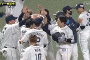 西武ライオンズ、2日連続サヨナラ勝ち！！！！