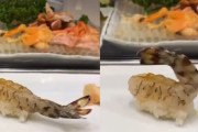外国人「ピクピク動いてる日本のエビの寿司…お前ら食いたいか？」