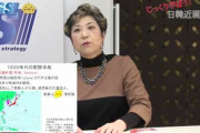 【Twitter】#水原希子 「私がいつ日本人感出しましたか？日本国籍じゃなかったら何か問題ありますか？」  [鉄チーズ烏★]