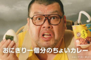【悲報】日清の広告さん、滑り続ける…