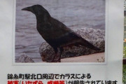 【動物の話題】殺虫剤混ぜたマヨネーズをコロッケに塗り、カラスに食べさせ7羽殺した疑い…78歳男逮捕「駆除しないといけない」