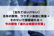 【忘れてはいけない】去年の野党、ワクチン承認に慎重→そのせいで接種遅れる→今の野党「遅れは政府の失策」