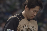 【vs西武】日ハム西村、スパンジェンバーグに勝ち越しソロ被弾…