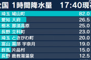 【観測史上1位】埼玉の降水量、全ての記録を過去へ葬る