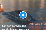 世界の津波の高さを建物と比較する動画が話題に　海外の反応