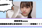 【乃木坂46】濃厚すぎるwww 柴田柚菜の“夢”にまさかの◯◯◯◯が登場！！！
