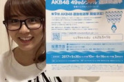 国政選挙もAKB48の総選挙みたいにスマホで投票できればいいのに