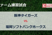 【虎実況】阪神 対 ソフトバンク　練習試合（鳴尾浜）[3/24]12:30～【二軍】