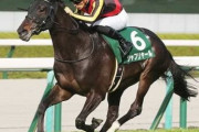【朗報】シャフリヤールが種牡馬引退危機回避　受胎率に問題ないと確認