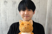 梶裕貴さんが後輩猫、杉田智和さん先輩猫役を担当！寒い冬に思わずほっこりしてしまう「アテネコ動画」公開
