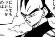 【ドラゴンボール】なぜ女性は悟空より「ベジータ派」が多いの？？？