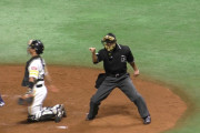 【野球】ベテラン審判員も受難　日本ハム－阪神の２軍戦で股間に投球が直撃！もん絶も立ち続けてファン拍手