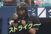 【薄給激務】最短６年…NPB審判への長い道のり
