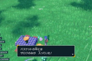 【ポケモンSV】ピクニックのバスケットからタマゴ以外の道具が出て来る仕組み