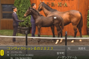 【セレクトセール2023】さあノーザンコントレイル牡馬だ