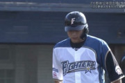 【トライアウト】元日ハム森本龍弥、第1打席は一度もバットを振ることなく見逃し三振