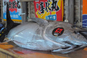 【謎】有名な｢大間のマグロ｣の出荷量→捕った量より多く流通してるんだがｗｗｗ