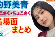 的野美青そこさく・ちょこさく名場面まとめ（その２）#櫻坂46