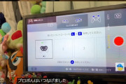 【朗報】Switch Lite、テレビに映す方法がすごいｗｗｗｗｗｗ