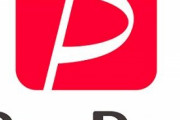 【驚愕】PayPay、借金までできるようになってしまう