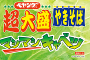 【大当たり】ペヤング超大盛の5倍キャベツ「ペヤング超大盛りやきそばマシマシキャベツ」爆誕したったwwwwwwww（画像あり）