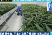 【画像】大麻を危険薬物リストから除外するのに賛成した国と反対した国がこちらｗｗｗｗ