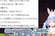 【朗報】兎田ぺこらさん、例のぺこーらコピペに触れるｗｗｗｗｗｗｗｗｗｗｗ