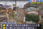 【悲報】 撮り鉄の人気スポットで私有地の木が切り倒される　ついに一線を越えてしまったか